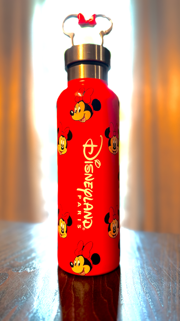 Disneyland Paris water bottle mouse ears top